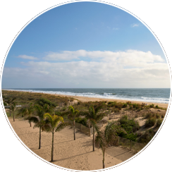 Direct Oceanfront Location
