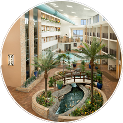 Indoor Pool, Hot Tubs, and Atrium Cafe located near Tropical Atrium