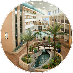 Indoor Pool, Hot Tubs, and Atrium Cafe located near Tropical Atrium